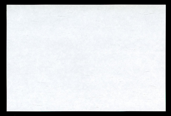 雲竜懐石まっと 白色 (100枚入) 尺3(W66414)