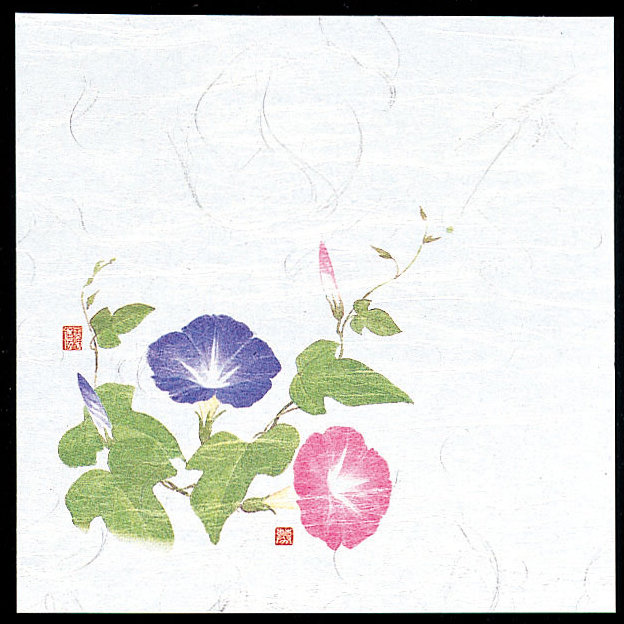 4寸OP懐石敷紙 (100枚入) 朝顔(W65116)