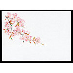 遠赤保鮮紙(小)(100枚入) 桜(W64560)