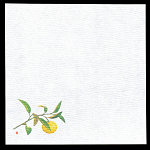 5寸グルメ敷紙 (100枚入) 柚子(W64778)