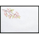 尺1お手元まっと 四季 (100枚入) 桜(W64951)