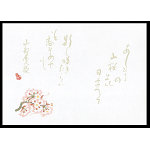 尺4無蛍光紙懐石まっと 万葉(100枚入) 桜(W65064)