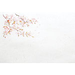 尺5雲竜和紙懐石まっと 四季(100枚入) 桜(W65183)
