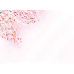 尺3四季彩まっと 花雅(はなみやび)(100枚入) 桜(W66451)