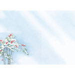 尺3四季彩まっと 花雅(はなみやび)(100枚入) 南天(W66459)