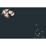 尺3抗菌四季彩まっと 幽玄の華(50枚入) 桜（3月～4月）(W66767)