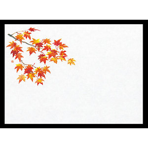 遠赤保鮮紙(小)(100枚入) 紅葉(W64563)