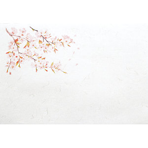 尺5雲竜和紙懐石まっと 四季 桜 100枚 (W65183)