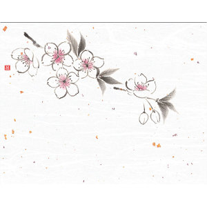 無蛍光紙OPおもてなし懐敷手貼り 4x5寸花風情 桜 100枚 (W65967)