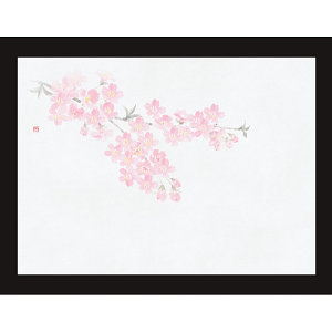 四季彩鮮度保持紙(100枚入) 桜(W69003)