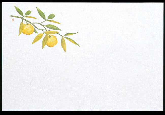 尺3雲竜和紙懐石まっと 枯淡 (100枚入) 柚子(W65051)