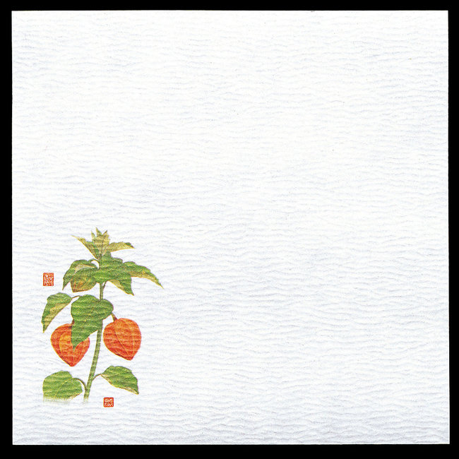 5寸グルメ敷紙 (100枚入) ほおずき(W65126)