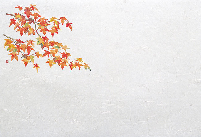 尺5雲竜和紙懐石まっと 四季(100枚入) 紅葉(W65185)