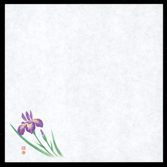 4寸御所の花 耐油天紙(100枚入) 菖蒲(W65818)