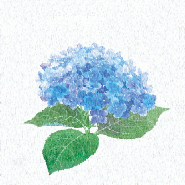 両面ラミ四季彩シート (200枚入) 紫陽花(W66369)