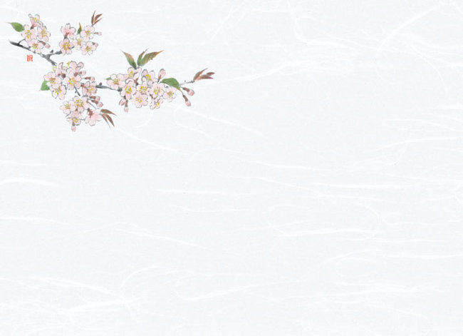 尺3雲竜和紙懐石まっと 花彩(はなさい)(100枚入) 桜(W66429)