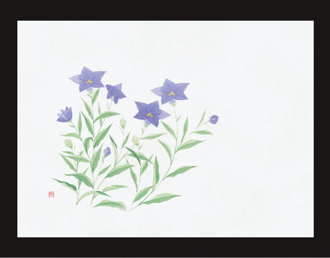 四季彩鮮度保持紙(100枚入) 桔梗(W69011)