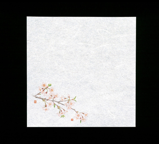 新・濡れ奉書紙 (100枚入) 桜(W65392)
