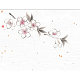 4x5寸花風情 (100枚入) 桜(W65967)