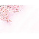 尺3四季彩まっと 花雅(はなみやび)(100枚入) 桜(W66451)